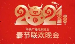 春节爆料视频大全集最新,精彩瞬间回顾，年度盛宴精彩重现